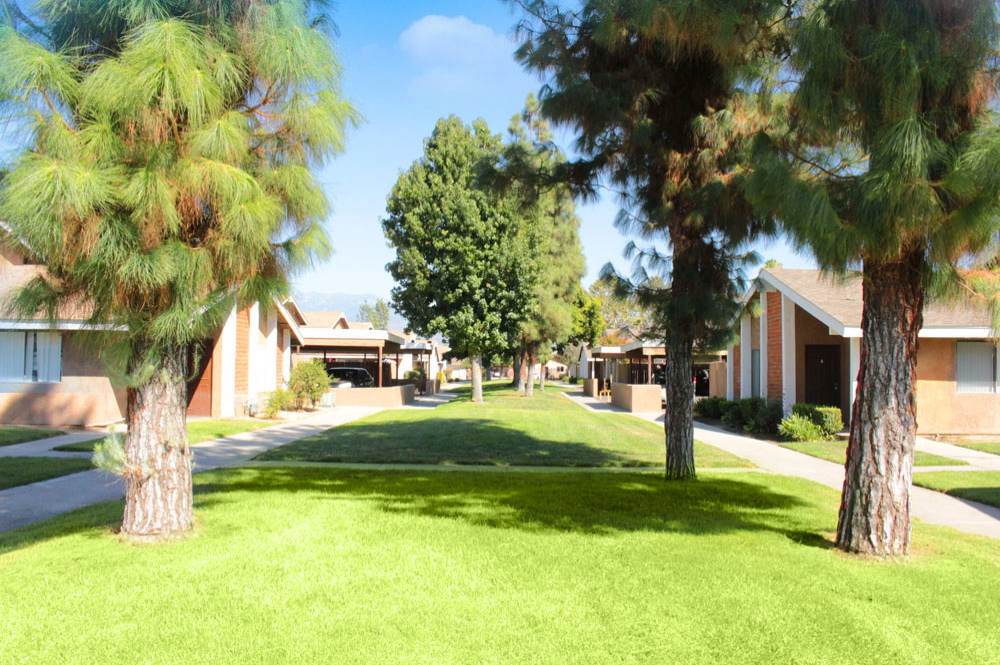 Neighborhood