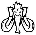 This image logo is used for Western Center Academy link button